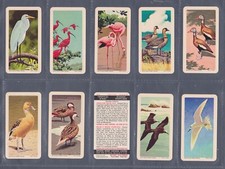 Brooke bond canada for sale  GREAT YARMOUTH