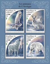 Arctic animals owl for sale  PONTYPRIDD