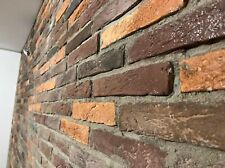 Metri quadri rivestimento usato  Altamura