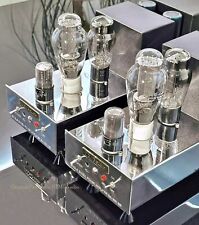 Song audio 300 gebraucht kaufen  Wuppertal