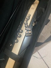 Roland Aerophone AE-20 SC instrumento de sopro digital Ltd ouro champanhe com estojo comprar usado  Enviando para Brazil