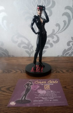 Cover girls catwoman for sale  LINCOLN
