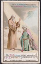 Mother saint bernard d'occasion  Sint-Gillis