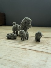 Filhote de poodle cinza década de 1990 no meu bolso mãe flocada 3 filhotes, usado comprar usado  Enviando para Brazil