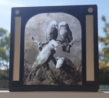 Magic lantern glass for sale  BOURNEMOUTH