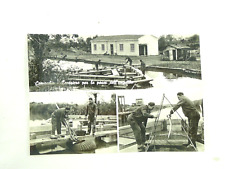 Vecchia fotografia vintage usato  Cremona