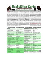 Bachblüten karte hunde gebraucht kaufen  Trebbin