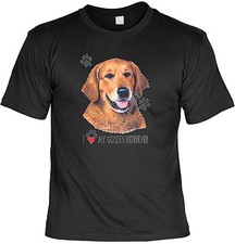 golden retriever gebraucht kaufen  Fürstenstein