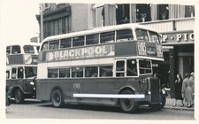 439 bus photo for sale  BLAENAU FFESTINIOG
