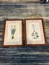 Set botanical prints for sale  Newland