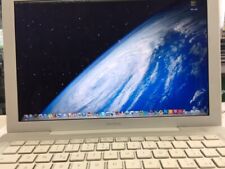 Macbook apple lcd usato  Cesenatico