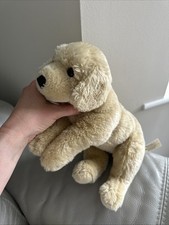 Toys labrador puppy for sale  DERBY