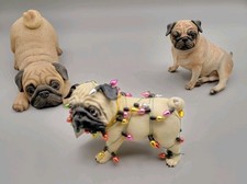 Rare pug nacious for sale  Fort Myers