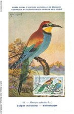 AUXP1-0008-PÁJAROS-CARTA-MÁXIMA - GUEPÍR MERIDIONAL - Museo Real De Historia comprar usado  Enviando para Brazil