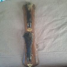 Taxidermie trophée chasse d'occasion Taxidermie trophée chasse d'occasion  Moulins