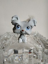 Lps petshop chien d'occasion  Saint-Malo