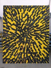 Monocromo giallo tela usato  San Giuliano Milanese