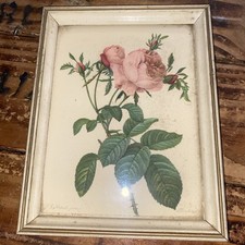 Vintage framed botanical for sale  Navarre