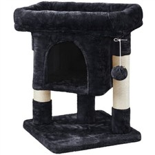 59cm small cat for sale  IPSWICH