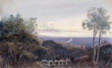 Sheep church landscape for sale  UK
