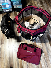 Zampa puppy pop for sale  Anaheim