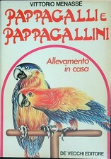 Pappagalli pappagallini alleva usato  Italia