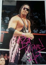 Wwf bret the gebraucht kaufen  Schwerin