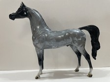Peter stone arabian for sale  Floresville