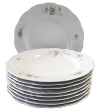 Speiseteller 26cm rosenthal gebraucht kaufen  Aachen