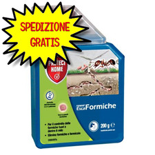 Protect home forminix usato  San Felice Circeo