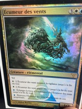 Carte magic écumeur d'occasion  Sélestat