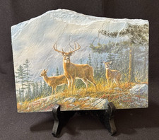 Whitetail deer painting for sale  Northville