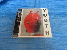 Sonic Youth Dirty Mini LP SHM CD JAPAN UICY-75132 (2011), usado comprar usado  Enviando para Brazil