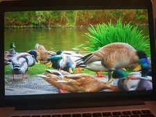 Macbook pro retina gebraucht kaufen  Münster