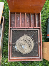 Seth green box for sale  Hammondsport
