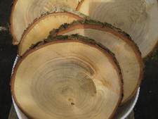 Holzscheiben baumscheiben eich gebraucht kaufen  Crossen