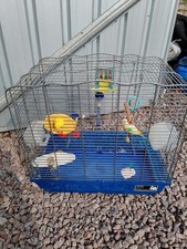 Budgie cage for sale  SPALDING
