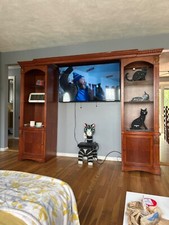 Solid wood entertainment for sale  Revere