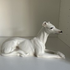 Greyhound whippet dog d'occasion  Expédié en Belgium