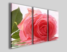 Quadro rosa beautiful usato Quadro rosa beautiful usato  Pontecagnano Faiano