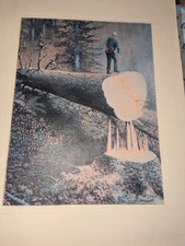 Logging spruce oregon for sale  Albuquerque