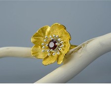 rock flower anemone for sale  Pompano Beach