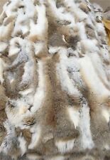 Luxury real rabbit for sale  USA