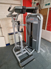 Nautilus standing calf for sale  WALSALL