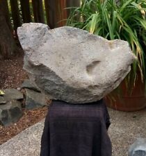 Large prehistoric paleo for sale  Gresham