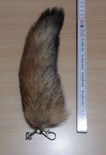 Rotfuchs schweif schlüssel gebraucht kaufen  Hallgarten