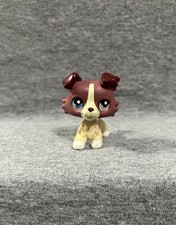littlest pet collie for sale littlest pet collie for sale Cave City