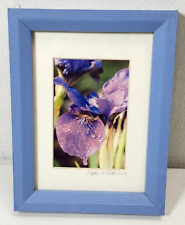 Iris purple perfection for sale  Erie