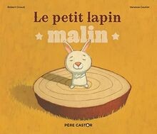 Petit lapin malin gebraucht kaufen  Berlin