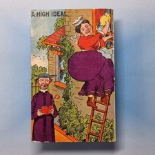 Comic postcard 1910 for sale  TELFORD